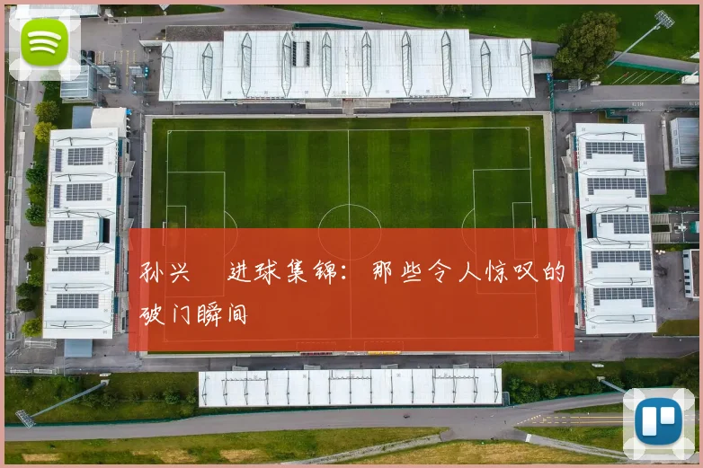孙兴慜进球集锦:那些令人惊叹的破门瞬间